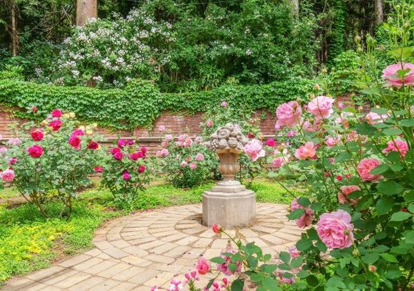 🌳 나나츠도 공원(七ツ洞公園) 이미지 12